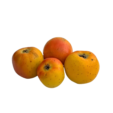 Tejovati